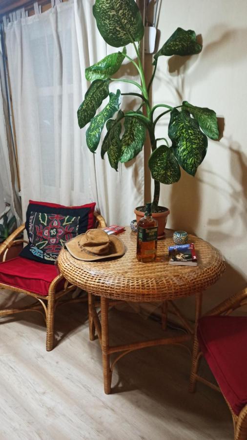 Evergreen Guesthouse Karakol Dış mekan fotoğraf