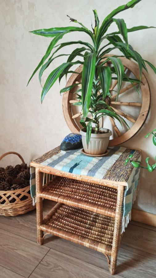 Evergreen Guesthouse Karakol Dış mekan fotoğraf