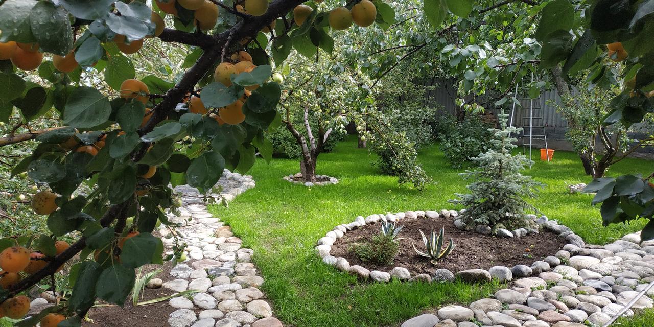Evergreen Guesthouse Karakol Dış mekan fotoğraf